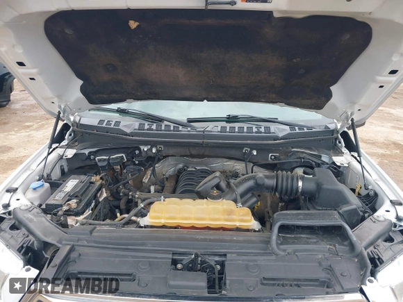 2017 Ford F-150 XL с VIN 1FTEW1EF6HFC35972, выставлен на аукционе IAAI как лот 42098293 с пробегом 218 205 миль миль и . История ставок и продаж доступна на DreamBid. Изображение 10.