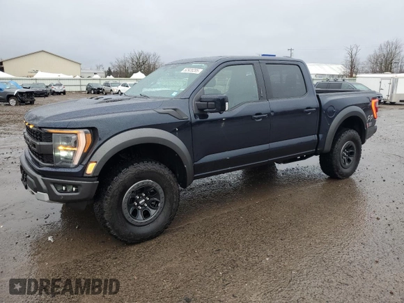 2023 Ford F-150 Raptor with VIN 1FTFW1RG0PFD16861, listed as a Copart auction lot 52928285 with 19,454 mi miles and Salvage Title. Bid and sale history available at DreamBid. Image 1.