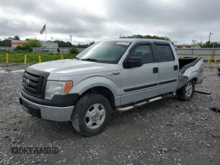 2009 Ford F-150 XL with VIN 1FTRW12W09FA68807, listed as a Copart auction lot 57811775 with 256,731 mi miles and Salvage title. Bid and sale history available at DreamBid. Image 1.