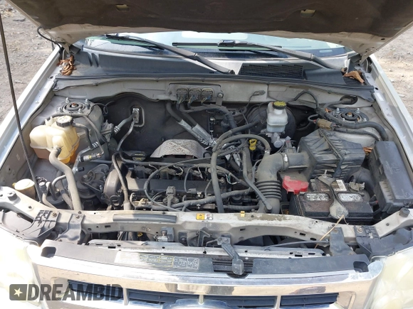 2008 Ford Escape XLS с VIN 1FMCU02Z58KA96331, выставлен на аукционе IAAI как лот 42703539 с пробегом 251 237 миль миль и . История ставок и продаж доступна на DreamBid. Изображение 10.