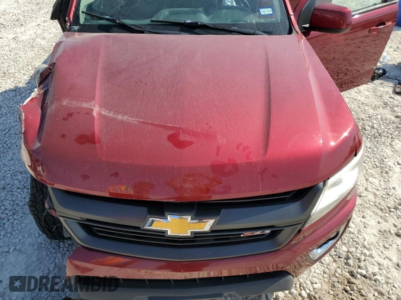 2019 Chevrolet Colorado 2WD Z71 with VIN 1GCGSDEN7K1300135, listed as a Copart auction lot 74929894 with Not Provided miles and Salvage Title. Bid and sale history available at carsss.com. Image 13.