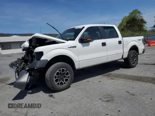 2010 Ford F-150 XL with VIN 1FTFW1EV6AKE26946, listed as a Copart auction lot 53942875 with 217,777 mi miles and Salvage Title. Bid and sale history available at carsss.com. Image 1.