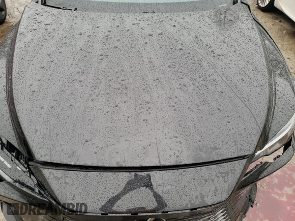 2025 Lexus RX 350 with VIN 2T2BAMCA8SC089662, listed as a Copart auction lot 43508605 with 1,634 mi miles and Salvage Title. Bid and sale history available at DreamBid. Image 12.