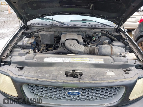1998 Ford F-150 with VIN 1FTYF17W0WNC12927, listed as a IAAI auction lot 42621641 with 251,079 mi miles and . Bid and sale history available at DreamBid. Image 10.
