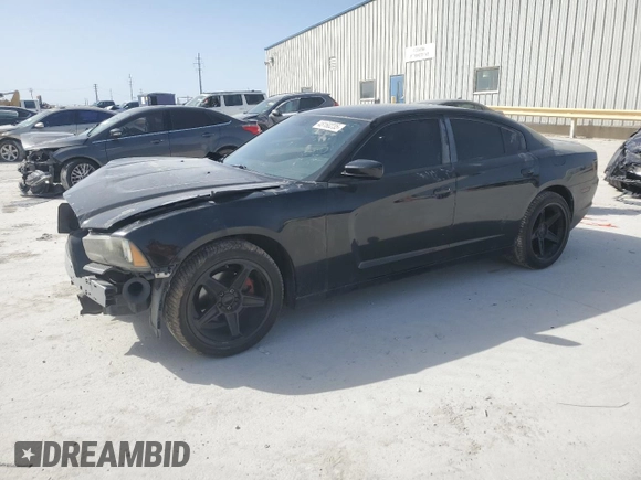 2014 Dodge Charger SE with VIN 2C3CDXBG7EH314658, listed as a Copart auction lot 48160235 with 161,599 mi miles and Salvage Title. Bid and sale history available at carsss.com. Image 1.