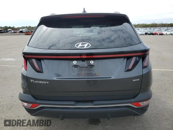2023 Hyundai Tucson SEL with VIN 5NMJBCAE3PH261921, listed as a Copart auction lot 52076995 with 19,558 mi miles and Salvage Title. Bid and sale history available at DreamBid. Image 6.
