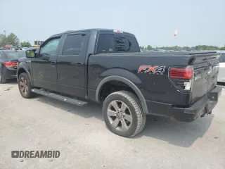 2013 Ford F-150 XL with VIN 1FTFW1EFXDKD59944, listed as a Copart auction lot 58673165 with 198,531 mi miles and Salvage title. Bid and sale history available at DreamBid. Image 2.