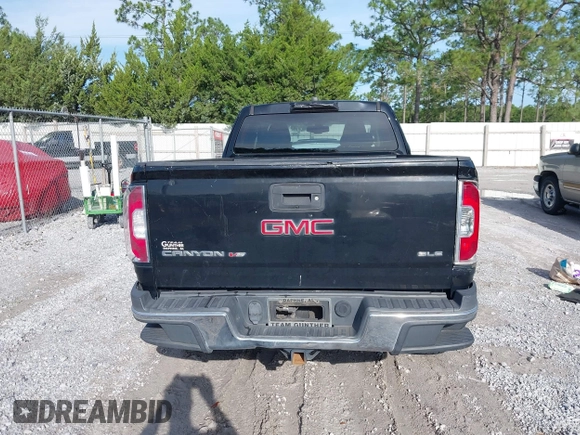 2018 GMC Canyon 2WD Elevation with VIN 1GTH5CEN0J1226982, listed as a IAAI auction lot 42493104 with 204,424 mi miles and . Bid and sale history available at DreamBid. Image 17.