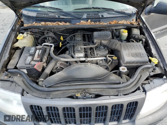 1999 Jeep Grand Cherokee Limited with VIN 1J4GW68S6XC713297, listed as a Copart auction lot 55264384 with 98,912 mi miles and Salvage Title. Bid and sale history available at carsss.com. Image 12.