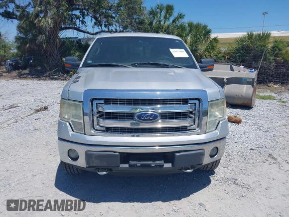 2013 Ford F-150 XL with VIN 1FTFW1EF1DKD27724, listed as a IAAI auction lot 42077088 with 188,885 mi miles. Bid and sale history available at carsss.com. Image 12.