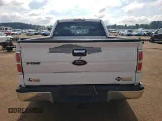 2009 Ford F-150 STX with VIN 1FTRX12829KB97914, listed as a Copart auction lot 56244425 with 264,622 mi miles and Salvage title. Bid and sale history available at DreamBid. Image 6.