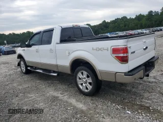 2009 Ford F-150 XL with VIN 1FTPW14V19FB11482, listed as a Copart auction lot 62647635 with 317,024 mi miles and Salvage title. Bid and sale history available at DreamBid. Image 2.