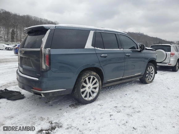 2021 Cadillac Escalade Premium Luxury Platinum with VIN 1GYS4DKL2MR193839, listed as a Copart auction lot 86813234 with 123,657 mi miles and Salvage Title. Bid and sale history available at carsss.com. Image 3.