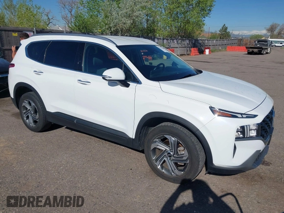 2023 Hyundai Santa Fe SEL with VIN 5NMS24AJXPH562533, listed as a IAAI auction lot 42153868 with 36,570 mi miles and . Bid and sale history available at DreamBid. Image 1.