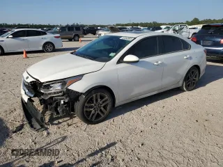 2019 Kia Forte S z VIN 3KPF34ADXKE018672, wystawiony jako Copart lot #52883865 z przebiegiem 90 715 mil mil oraz Szkoda całkowita • Salvage title. Historia ofert i sprzedaży dostępna na DreamBid. Obrazek 1.