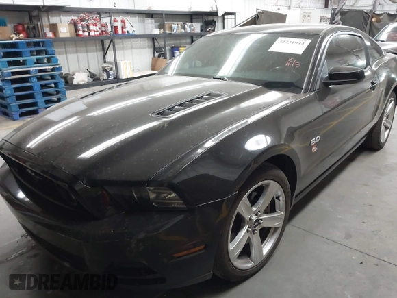 2014 Ford Mustang GT z VIN 1ZVBP8CFXE5257404, wystawiony jako IAAI lot #42731944 z przebiegiem 308 695 mil mil oraz . Historia ofert i sprzedaży dostępna na DreamBid. Obrazek 17.