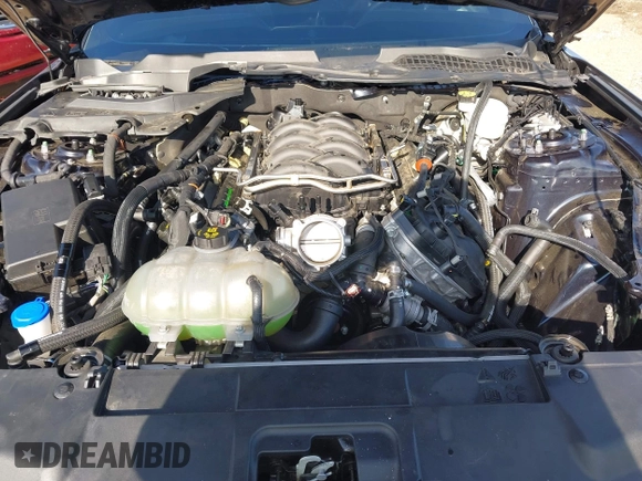 2021 Ford Mustang GT with VIN 1FA6P8CF0M5136535, listed as a IAAI auction lot 42213751 with 35,657 mi miles and . Bid and sale history available at DreamBid. Image 10.