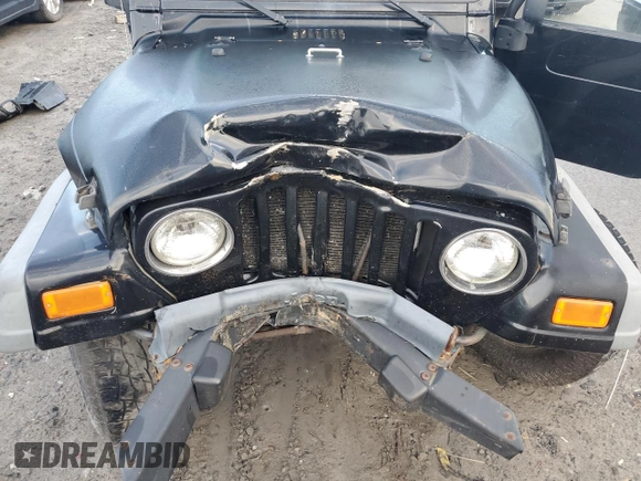 2006 Jeep Wrangler X with VIN 1J4FA39S26P709262, listed as a Copart auction lot 67327484 with 113,687 mi miles and Salvage Title. Bid and sale history available at carsss.com. Image 12.