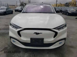 2021 Ford Mustang Mach-E Premium with VIN 3FMTK3R76MMA10801, listed as a Copart auction lot 51052175 with 178,382 mi miles and Salvage title. Bid and sale history available at DreamBid. Image 5.