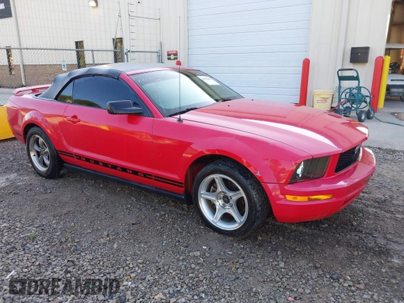 2005 Ford Mustang Deluxe with VIN 1ZVFT84N755233421, listed as a IAAI auction lot 42632466 with 202,825 mi miles and . Bid and sale history available at DreamBid. Image 1.
