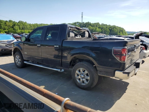 2013 Ford F-150 XL with VIN 1FTFW1ET3DFD77071, listed as a Copart auction lot 57410395 with 145,446 mi miles and Salvage title. Bid and sale history available at DreamBid. Image 2.