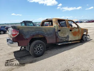 2010 Ford F-150 XL z VIN 1FTFW1EV2AFC78934, wystawiony jako Copart lot #62594795 z przebiegiem Nie podano mil oraz Szkoda całkowita • Salvage title. Historia ofert i sprzedaży dostępna na DreamBid. Obrazek 3.