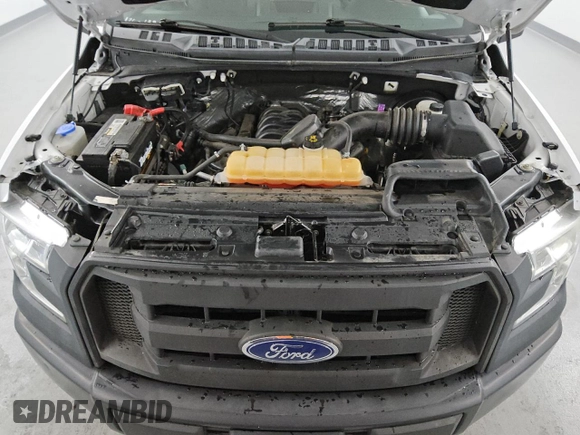 2017 Ford F-150 XL with VIN 1FTEX1CF8HKC50013, listed as a Copart auction lot 61032315 with 126,348 mi miles and Clean title. Bid and sale history available at DreamBid. Image 11.