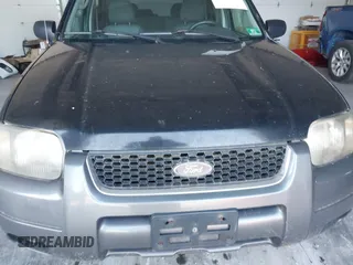 2004 Ford Escape XLT z VIN 1FMYU93114KB49698, wystawiony jako IAAI lot #42576733 z przebiegiem 317 848 mil mil oraz . Historia ofert i sprzedaży dostępna na DreamBid. Obrazek 6.