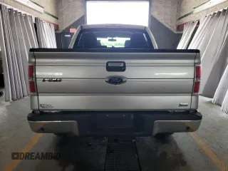 2010 Ford F-150 XL with VIN 1FTFW1EV3AFB69270, listed as a Copart auction lot 66163565 with 176,569 mi miles and Clean title. Bid and sale history available at DreamBid. Image 6.