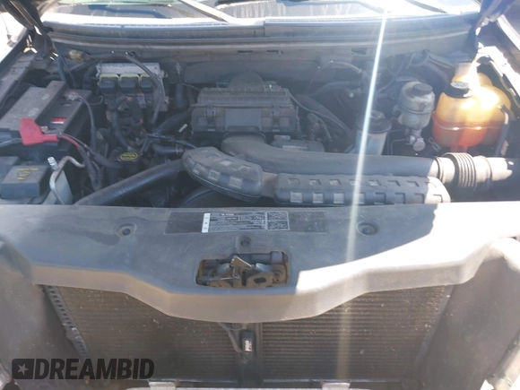 2005 Ford F-150 XLT with VIN 1FTPX14585FA82196, listed as a IAAI auction lot 42771610 with Not provided miles and . Bid and sale history available at DreamBid. Image 10.