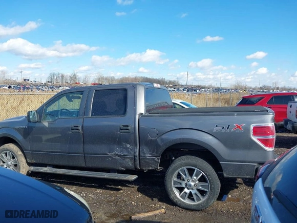 2014 Ford F-150 XL with VIN 1FTFW1EF2EFA76657, listed as a IAAI auction lot 41668284 with 130,226 mi miles. Bid and sale history available at carsss.com. Image 14.