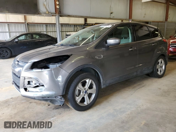 2014 Ford Escape SE with VIN 1FMCU0GX4EUA81634, listed as a Copart auction lot 48290955 with 107,286 mi miles and Salvage Title. Bid and sale history available at DreamBid. Image 1.