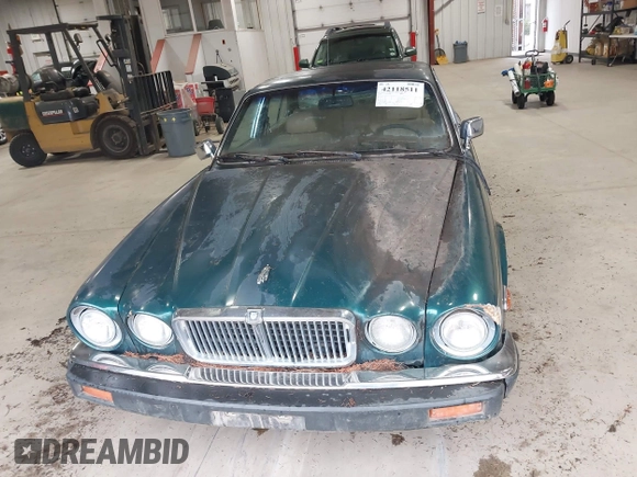 1985 Jaguar XJ with VIN SAJAV1347FC414864, listed as a IAAI auction lot 42118511 with 117,185 mi miles and . Bid and sale history available at DreamBid. Image 12.