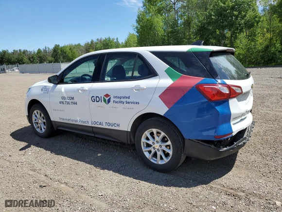 2019 Chevrolet Equinox LS with VIN 2GNAXSEV0K6121192, listed as a Copart auction lot 60967374 with 125,337 mi miles and Salvage Title. Bid and sale history available at carsss.com. Image 2.