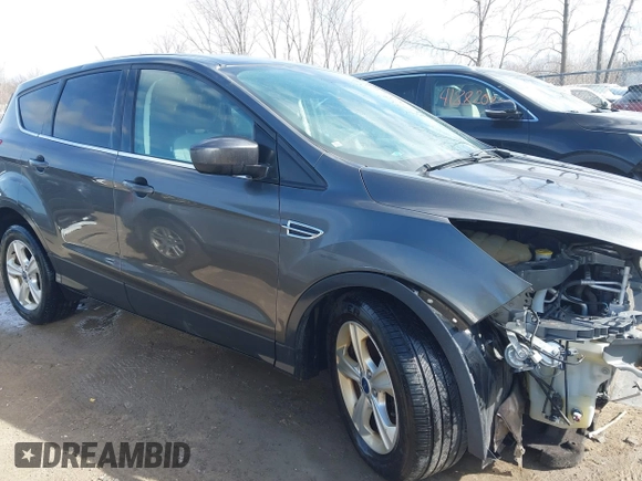 2016 Ford Escape SE with VIN 1FMCU0G78GUA20032, listed as a IAAI auction lot 41853044 with 117,005 mi miles. Bid and sale history available at carsss.com. Image 14.