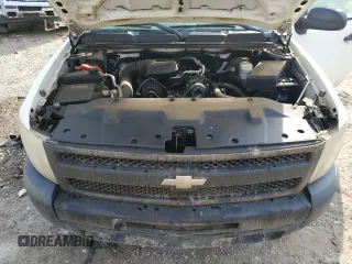 2009 Chevrolet Silverado 1500 Work Truck with VIN 1GCEC14X19Z225725, listed as a Copart auction lot 51499965 with Not Provided miles and Salvage Title. Bid and sale history available at DreamBid. Image 11.