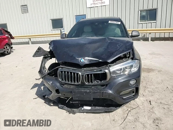 2018 BMW X6 xDrive35i with VIN 5UXKU2C51J0X49700, listed as a Copart auction lot 48802985 with 95,733 mi miles and Salvage Title. Bid and sale history available at carsss.com. Image 12.