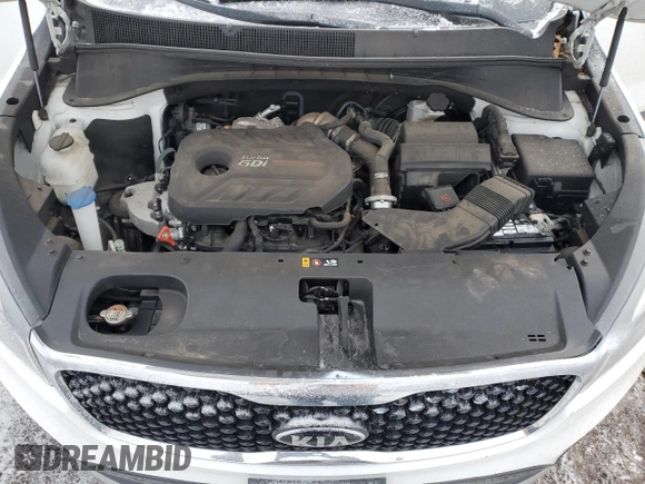 2016 Kia Sorento EX with VIN 5XYPHDA16GG037080, listed as a Copart auction lot 46309455 with 0 mi miles and Salvage Title. Bid and sale history available at carsss.com. Image 12.