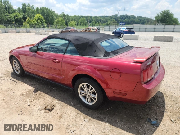 2005 Ford Mustang Deluxe with VIN 1ZVFT84N455187062, listed as a Copart auction lot 61953205 with 112,238 mi miles and Non repairable. Bid and sale history available at DreamBid. Image 2.