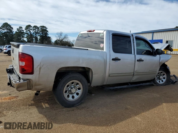 2010 Chevrolet Silverado 1500 LT with VIN 3GCRCSEAXAG151694, listed as a Copart auction lot 47963405 with Not Provided miles and Salvage Title. Bid and sale history available at DreamBid. Image 3.