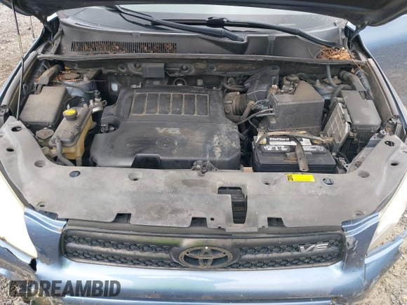 2006 Toyota RAV4 with VIN JTMBK33VX65003043, listed as a IAAI auction lot 42009844 with 294,380 mi miles. Bid and sale history available at carsss.com. Image 10.