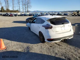 2015 Ford Focus ST with VIN 1FADP3L99FL266011, listed as a Copart auction lot 45046835 with 0 mi miles and Salvage Title. Bid and sale history available at carsss.com. Image 2.