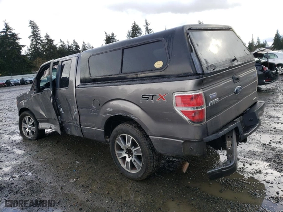 2014 Ford F-150 XL with VIN 1FTEX1CM5EKF19742, listed as a Copart auction lot 47705005 with 222,110 mi miles and Salvage Title. Bid and sale history available at carsss.com. Image 2.