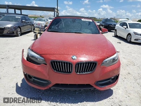 2017 BMW 2 Series 230i with VIN WBA2K9C52HV647199, listed as a Copart auction lot 61074605 with 53,876 mi miles and Salvage title. Bid and sale history available at DreamBid. Image 5.