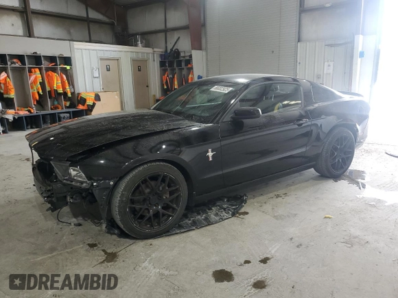 2014 Ford Mustang V6 с VIN 1ZVBP8AM6E5210131, выставлен на аукционе Copart как лот 66002925 с пробегом 112 377 миль миль и Чистый • Clean title. История ставок и продаж доступна на DreamBid. Изображение 1.