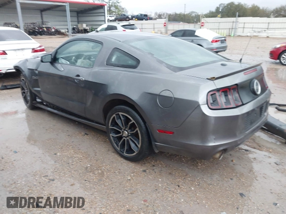 2013 Ford Mustang GT with VIN 1ZVBP8CFXD5252251, listed as a IAAI auction lot 41701508 with 171,781 mi miles. Bid and sale history available at carsss.com. Image 3.