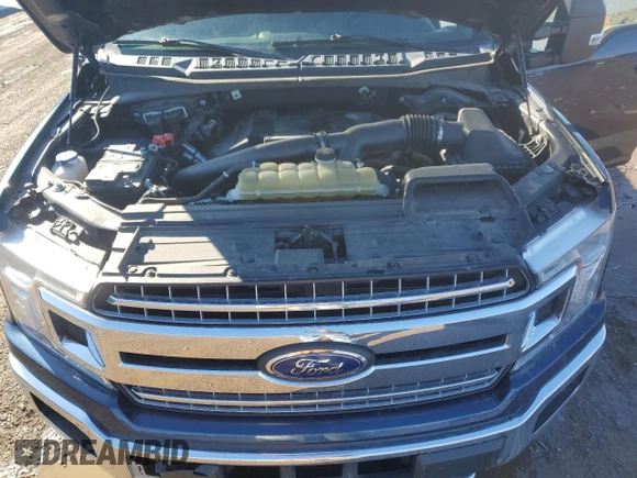 2019 Ford F-150 XL with VIN 1FTEW1E4XKKE74549, listed as a Copart auction lot 49773465 with 73,651 mi miles and Salvage Title. Bid and sale history available at carsss.com. Image 12.