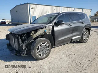 2022 Hyundai Santa Fe Limited with VIN 5NMS44AL4NH427749, listed as a Copart auction lot 85361364 with 45,820 mi miles and Salvage Title. Bid and sale history available at carsss.com. Image 1.