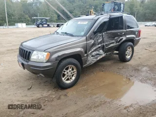 1999 Jeep Grand Cherokee Limited with VIN 1J4G268S3XC728805, listed as a Copart auction lot 79878974 with 206,768 mi miles and Salvage title. Bid and sale history available at DreamBid. Image 1.