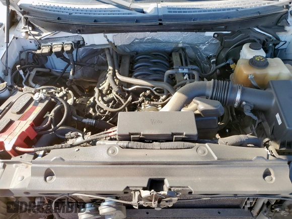 2013 Ford F-150 XL with VIN 1FTFW1EF8DFC27046, listed as a Copart auction lot 52782415 with 189,079 mi miles and Salvage Title. Bid and sale history available at DreamBid. Image 12.